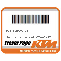 Plastic Screw Ka40x25wn1412